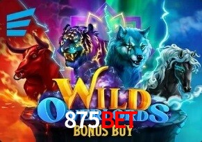  875Bet